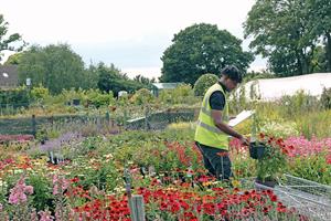 Johnsons of Whixley